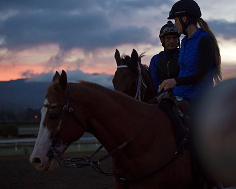 Works at Santa Anita in preparation for 2016 Breeders&#39; Cup on Oct. 31, 2016, in Arcadia, CA.<br><br />
