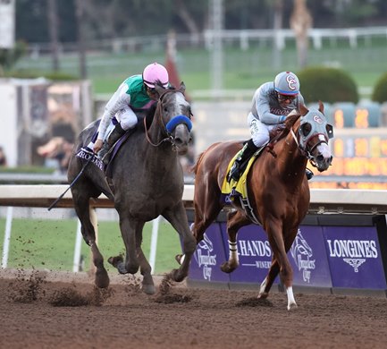 Arrogate on the outside passes California Chrome on the way to the victory in the Breeders' Cup Classic at Santa Anita Park Nov. 5, 2016 in Arcadia, California.