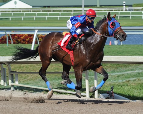Social inclusion wins the 8th Race at Gulfstream Park on March 12, 2014.