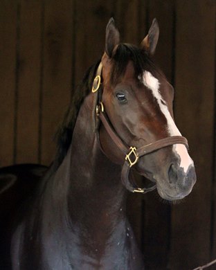 Upstart