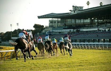 Horses heading for home closing out 2016 at Golden Gate Fields