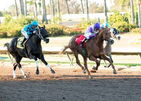 Ann Arbor Eddie wins the 2016 King Glorious Stakes at Los Alamitos Race Course