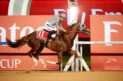 California Chrome pushed his earnings past $12 million with his Dubai World Cup victory