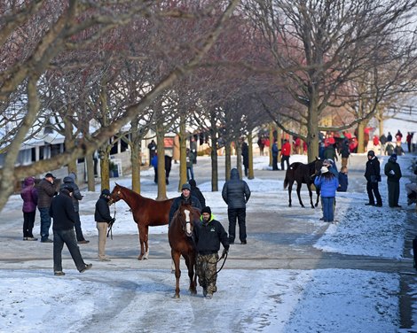 Winter scene at Keeneland January Sales near Lexington, Ky., on January 7, 2017.
