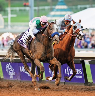 Arrogate on the outside passes California Chrome on the way to the victory in the Breeders&#39; Cup Classic at Santa Anita Park Nov. 5, 2016 in Arcadia, California. Photo by Skip Dickstein