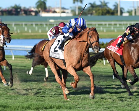 Almanaar wins the 2017 Gulfstream Park Turf Handicap     