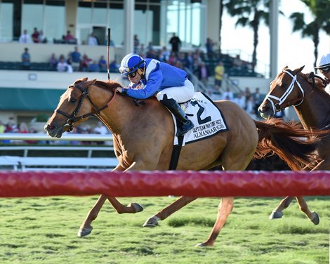 Almanaar wins the 2017 Gulfstream Park Turf Handicap