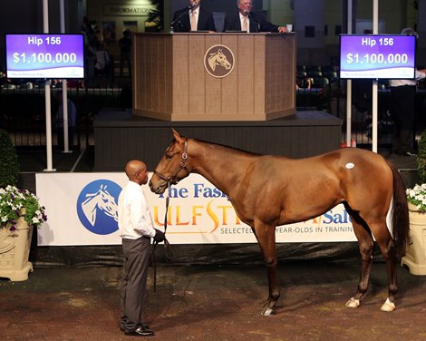 Hip 156, 2017 Fasig-Tipton Gulfstream Sale, Gulfstream Park, Fl