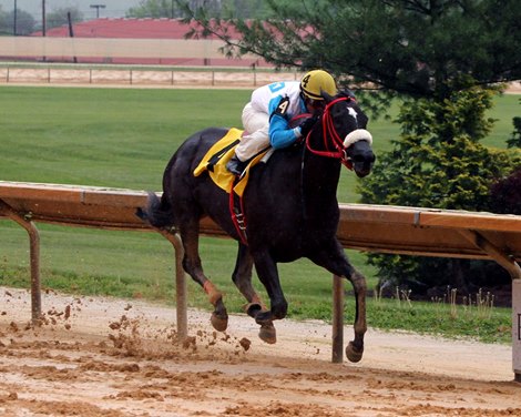 Mia Torri with Javier Castellano win the 9th Running of Sugar Maple at Charles Town on April 22, 2017.