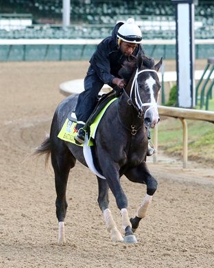 Battalion Runner - Gallop, Churchill Downs - April 27, 2017