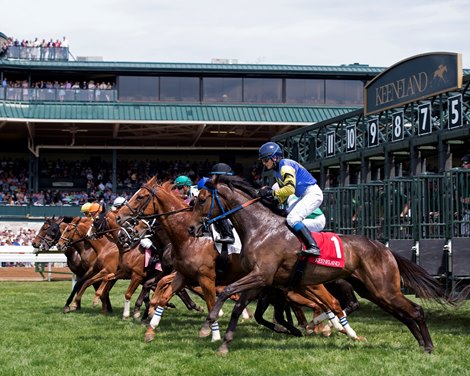 Scenes at Keeneland. April 14, 2017 Keeneland in Lexington, Ky. 