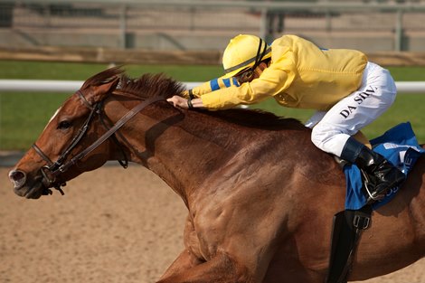 Pink Lloyd ridden by Jockey Eurico Da Silva captures the 2017 Jacques Cartier Stakes