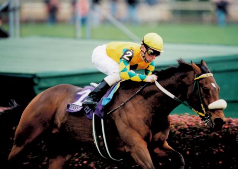 Buck's Boy wins the 1998 Breeders' Cup Turf (G1T).