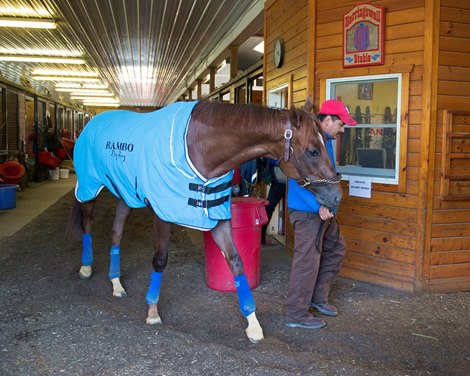 Irish War Cry in Herringswell Stables’ barn <br>
Scenes at Fair Hill Training Center in Fair Hill, Maryland.<br>
May 16, 2017 Fair Hill Training Center in Fair Hill, Maryland.