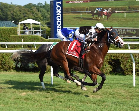 Blind Ambition wins the 2017 Quick Call Stakes