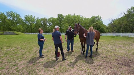 Former United States Marine, Sgt.  Matt Ryba visits with former Crafty racehorse at the Bergen Equestrian Center, which is providing equestrian therapy to veterans with PTSD. 