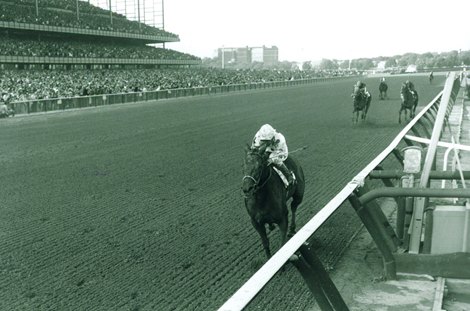 Damascus wins the 1967 Woodward over Buckpasser (left) and Dr. Fager. Bill Shoemaker aboard.