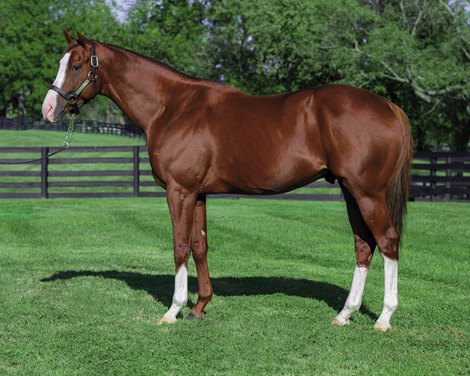 Will Take Charge