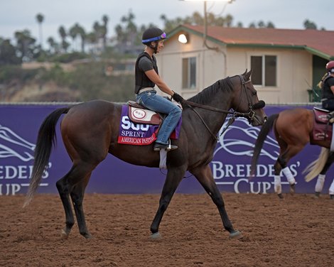 American Pastime<br>
Breeders' Cup horses on track at Del Mar racetrack on Oct. 30, 2017 Del Mar Thoroughbred Club in Del Mar, CA. 