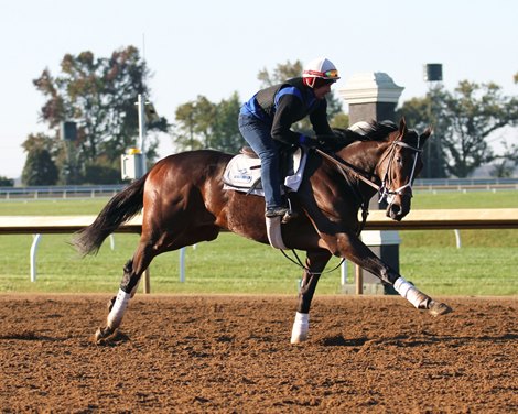 Daddy&#39;s Lil Darling - Gallop - Keeneland - 10-20-17