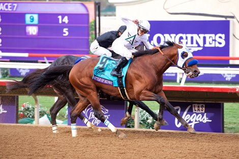 Battle of Midway won the Breeders Cup Dirt Mile on November 3, 2017.