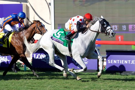 Broodmare of the Year Win Approval Dies at 29 BloodHorse Broodmare of the Year Win Approval Dies at 29 BloodHorse