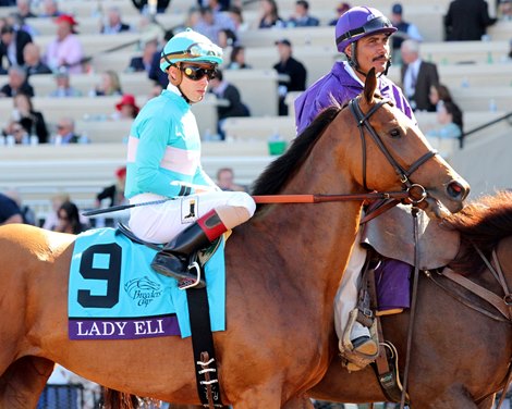 Lady Eli with Irad Ortiz in the post parade prior to the Breeders&#39; Cup Filly &amp; Mare Turf at Del Mar on November 4, 2017