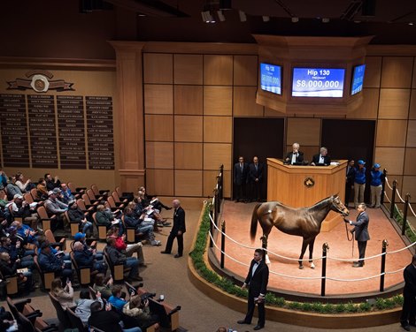 Tepin<br><br />
Horses at the Fasig-Tipton Kentucky November sale on Nov. 6, 2017 Fasig-Tipton in Lexington, KY. 