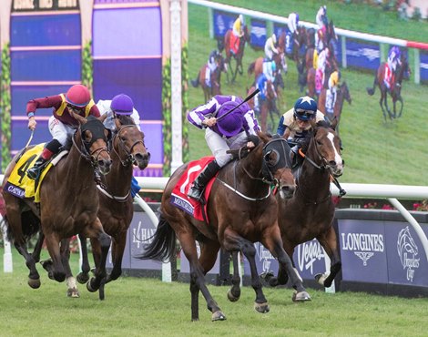 Mendelssohn wins the Breeders Cup Juvenile Turf on November 3, 2017.