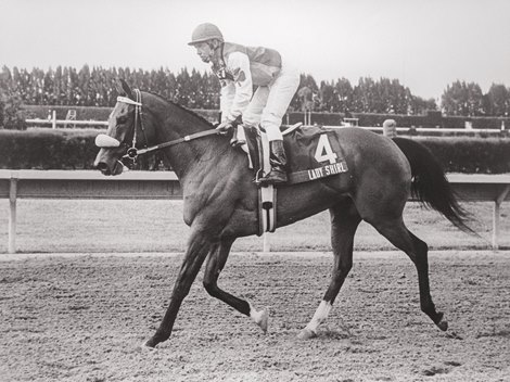 Lady Shirl, with jockey Earlie Fires aboard, after winning the My Charmer Handicap at Calder Race Course, April 18, 1992