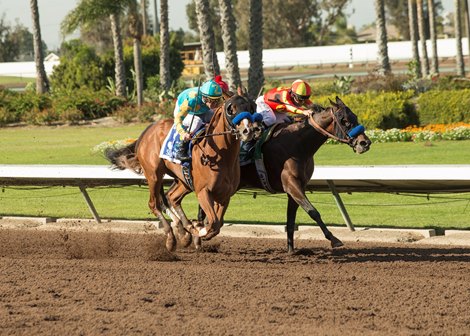 Pegram, Watson & Weitman' McKinzie and jockey Mike Smith, right, eventually win the Grade I $300,000 Los Alamitos CashCall Futurity Stakes after finishing second, but was moved up to first following the disqualification of Solomini (Flavien Prat), outside, who interfered with Instilled Regard (Drayden Van Dyke), center. Solomini was disqualified and placed third,  while Instilled Regard was moved up to second.  Saturday, December 9, 2017, Los Alamitos Race Course, Cypress, CA.