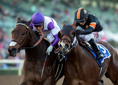 Reddam Racing's Mopotism and jockey Mario Gutierrez, left, overpower Mended (Ricardo Gonzalez), right, to win the G2, $200,000 La Canada Stakes, Saturday, January 13, 2018 at Santa Anita Park, Arcadia CA.