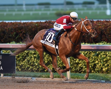 Gun Runner wins Pegasus 2018                 