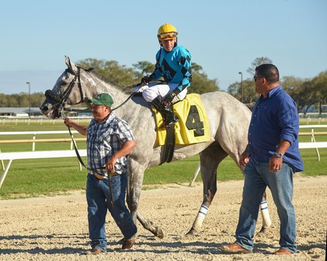 X Y Jet wins the 2018 Pelican Stakes                   