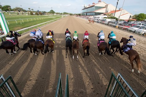 The start of the Twinspires.com Louisiana Derby at Fairgrounds Race Course on March 24, 2018.