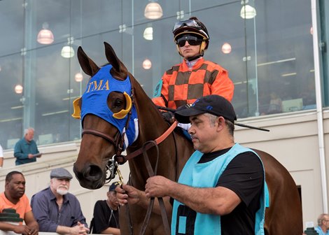 Chocolate Martini before winning The Twinspires Fairgrounds Oaks on March 24th, 2018, jockey Mitchell Murrill up
