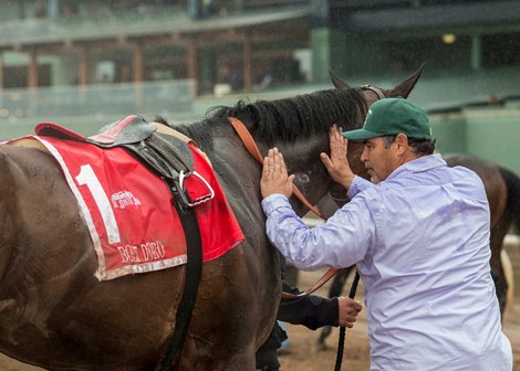 Owner/trainer Mick Ruis tests Bolt d'Oro after his win at G2 $400,000 San Felipe Stakes Saturday, March 10, 2018 at Santa Anita Park, Arcadia, CA.