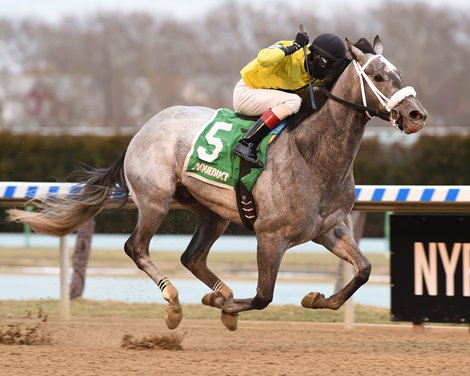 Skyler&#39;s Scramjet wins the 2018 Tom Fool Handicap