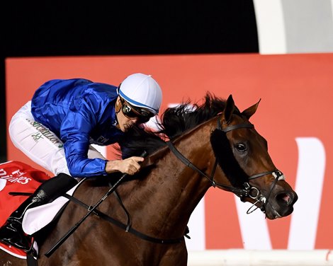 Thunder Snow wins the 2018 Dubai World Cup