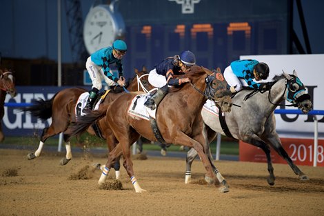 Mind Your Biscuits wins the 2018 Dubai Golden Shaheen