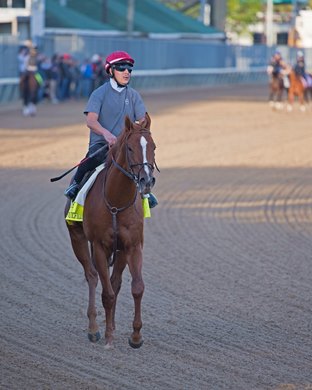 Promises Fulfilled<br><br />
Morning scenes at Churchill Downs on April 28, 2018 Churchill Downs in Louisville, Ky. 