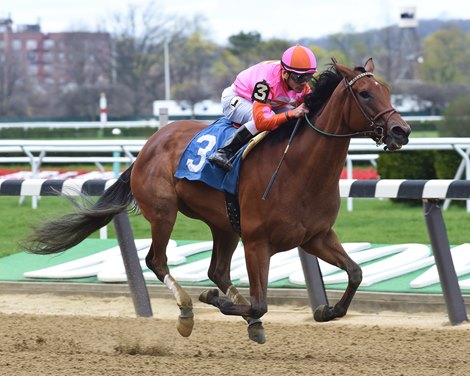 Caledonia Road - AOC Win, Belmont Park - April 29, 2018