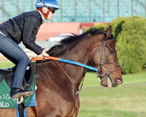 Tenfold - Oaklawn Park - Work - April 9, 2018