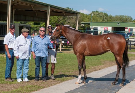 OBS April 2yo Sale 2018 Hip 1197 9.4   Medaglia d'Oro-Wilshewed  16F, KY ,Randy Bradshaw, Agent VIII, (buyer not pictured is Steven W. Young , Agent) $1,100,000 left to right, Randy Bradshaw (consignor, Gerry Procino Jr.(friend of Mr. Weiss),  Jeff Weiss (Breeder, blue long sleeve, shirt sun glasses)