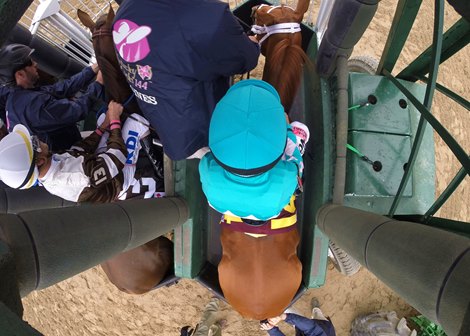 Monomoy Girl and Florent Geroux in the starting gate before the start of the Longines Kentucky Oaks at Churchill Downs on May 4, 2018.