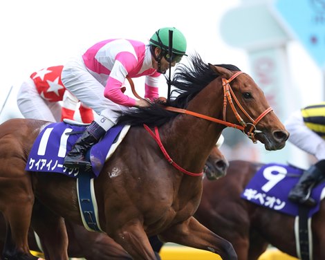 Keiai Nautique (JPN) wins the 2018 NHK Mile Cup