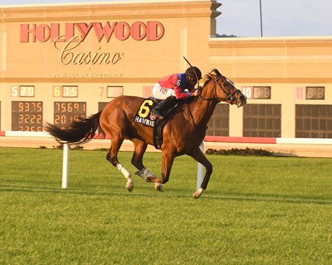 Hawkish wins the 2018 Penn Mile