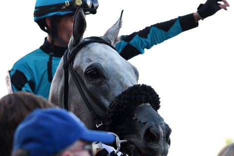 X Y Jet wins 2018 Smile Sprint at Gulfstream Park.