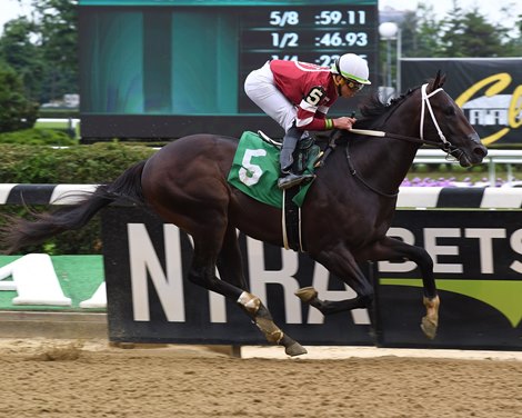 Whiskey Echo - Maiden Win, Belmont Park, June 10, 2018