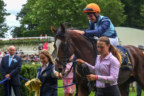 Accidental Agent; Charles Bishop Jockey; win the G1 Queen Anne Stakes; Royal Ascot; Ascot UK; 6/19/18